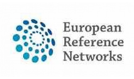 Réseaux européens de référence des maladies rares, une avancée pour tous les malades et leurs familles