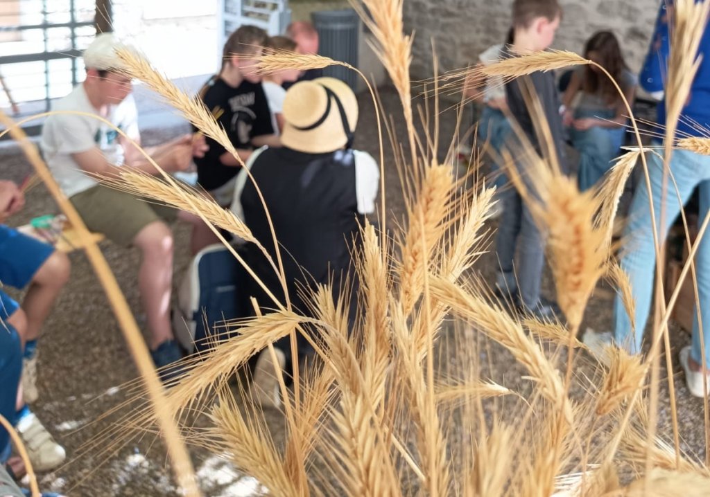 Artisanat - Tresser la Paille -  Septfonds transmet un art rural - Acteurs Locaux 82