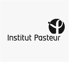 Un facteur sanguin impliqué dans la perte de poids et le vieillissement @institutpasteur