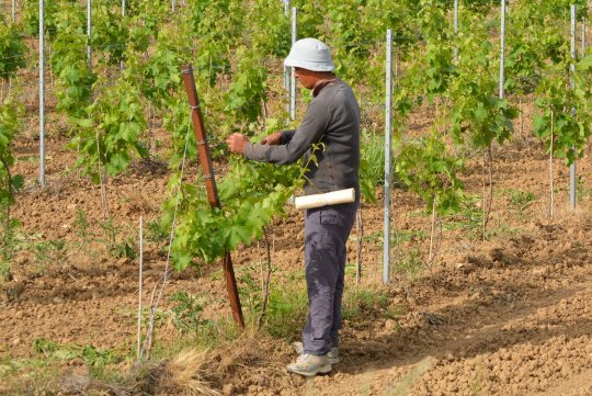 Offres emplois saisonniers