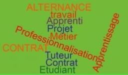 Une alternance ou un contrat de professionnalisation ? Handi-alternance