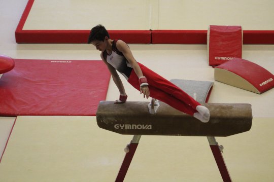 Alphonce BURBAIL Espoir de la Gymnastique Masculine