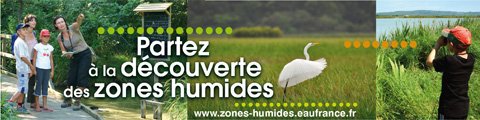 Journée Mondiale des Zones Humides à Castelnau d'Estrétefonds