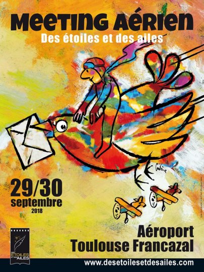 Meeting Aérien des Etoiles et des Ailes #airshow #aviation #toulouse #tvlocale.fr @meeting_deda