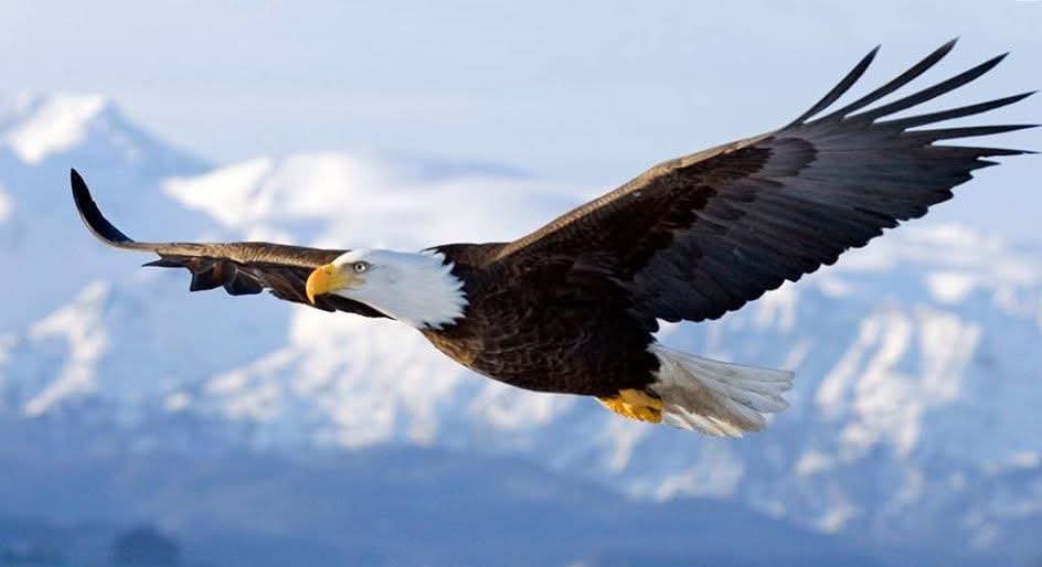 La liberté fait peur