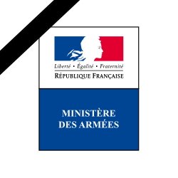 Mort en opération de treize militaires lors de la collision de deux hélicoptères au Mali - Communiqué de Florence Parly, ministre des Armées 