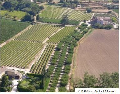 Compensation écologique : comment proposer des mesures efficaces pour favoriser l’agroécologie. @INRAE_France  @agrosolutions @CeremaCom @CNRS @Terredeliens #agroécologie