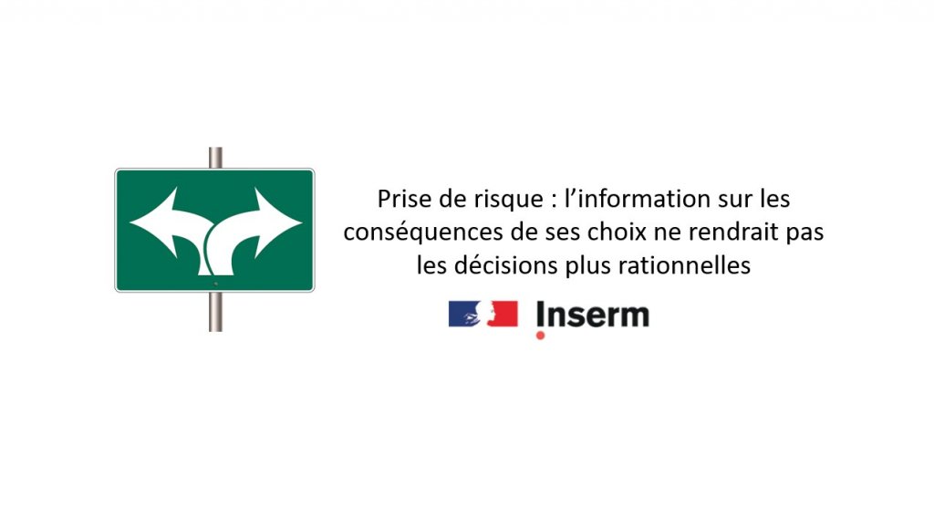 Prise de risque : l’information sur les conséquences de ses choix ne rendrait pas les décisions plus rationnelles