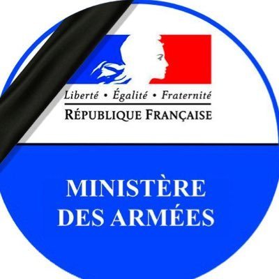   Communiqué de presse de Florence Parly, ministre des armées : Militaire de l'opération Barkhane mort pour la France @Defense_gouv