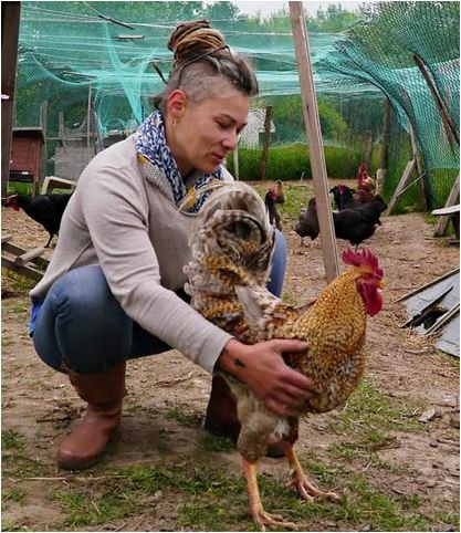 Sauver une ferme, Appel aux dons - Emilie Lucot, paysanne bio : 220 poules volées = 3 ans de travail envolés !