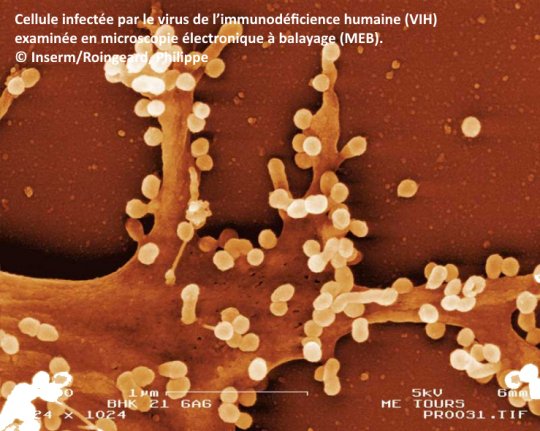  Des volontaires recherchés pour un essai vaccinal innovant contre le VIH  @Inserm @SidaInfoService