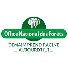 Journée internationale des forêts le 21 mars 2019 - @ONF_Officiel