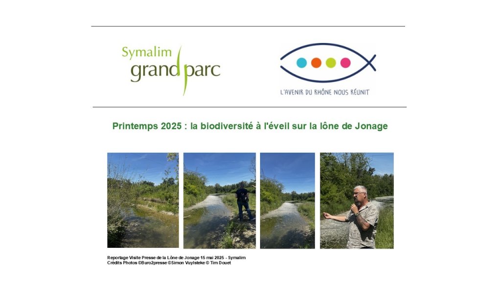 Printemps 2025 : la biodiversité à l'éveil sur la lône de Jonage