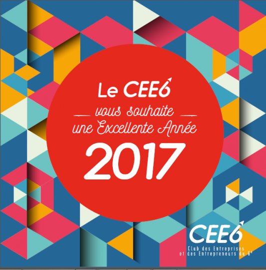 Le Club des Entreprises et des Entrepreneurs de Lyon 6ème (CEE6)  Territoire d' Efficience Collaborative