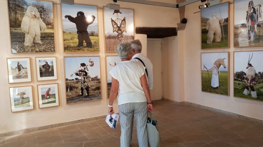 Rodez : exposition ''Wilder mann''