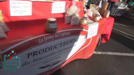 Circuit-Court :  le Haricot Tarbais produit par la Ferme CAPITANI  à Sainte Aurence Cazaux - Gers @Localinfo.fr