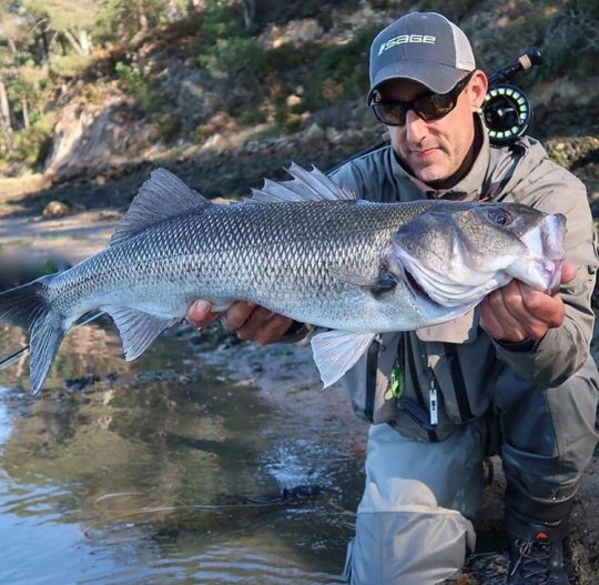 Approche de la Pêche : avec Jean-Batiste VIDAL Guide de pêche pour une  Pêche du bar à la mouche en Bretagne-Sud