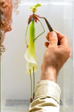 ART: QU’EST-CE QU’UN EXFLORATEUR ?