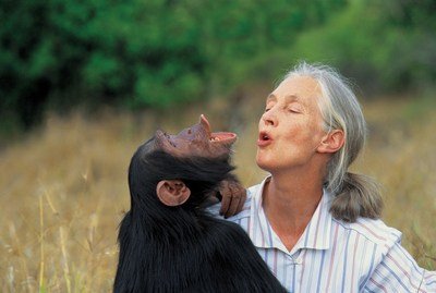 La pionnière de la défense de l'environnement Jane Goodall reçoit le Tang Prize 2020 dans la catégorie développement durable @JaneGoodallFr