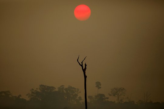 GlobalGeoNews /  La prochaine pandémie viendra-t-elle de l’Amazonie ?
