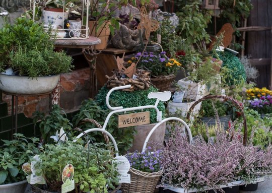 Bon plan : grande vente de plantes à prix cassés organisée ce weekend à Toulouse #Vente #Plantes #Toulouse #Matabiau #Discount 