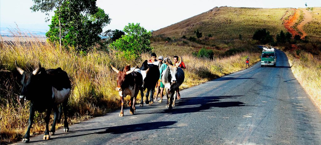 Tourisme : Madagascar mise sur l’Asie pour diversifier ses flux touristiques dès 2026