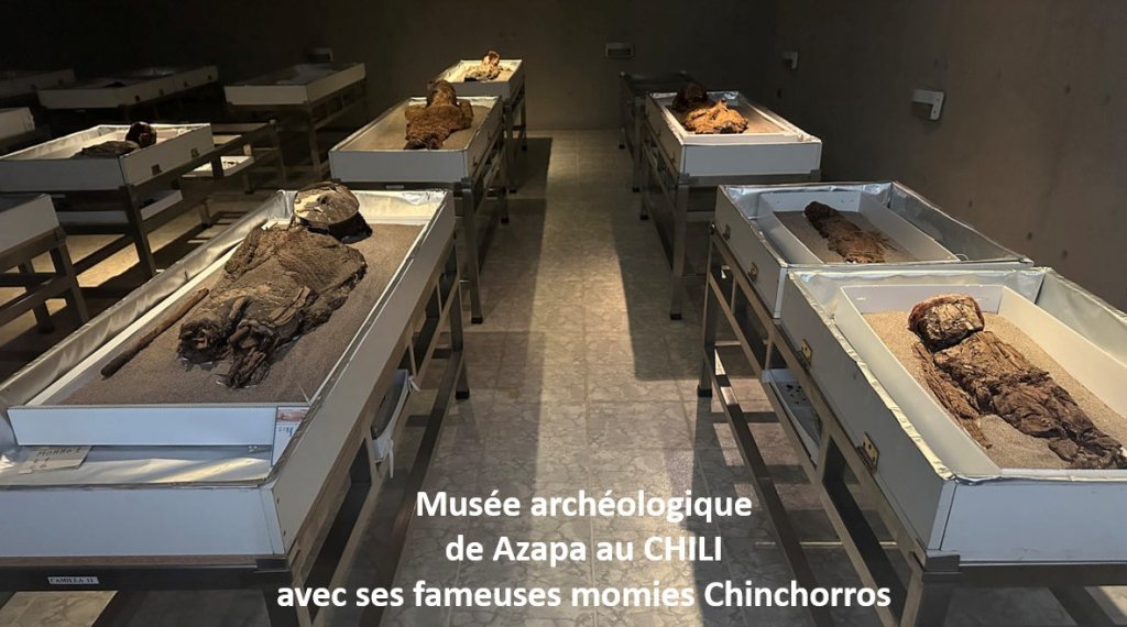 160ème Étape des Boudubouts au CHILI - visite du Musée Archéologique San Miguel de Azapa