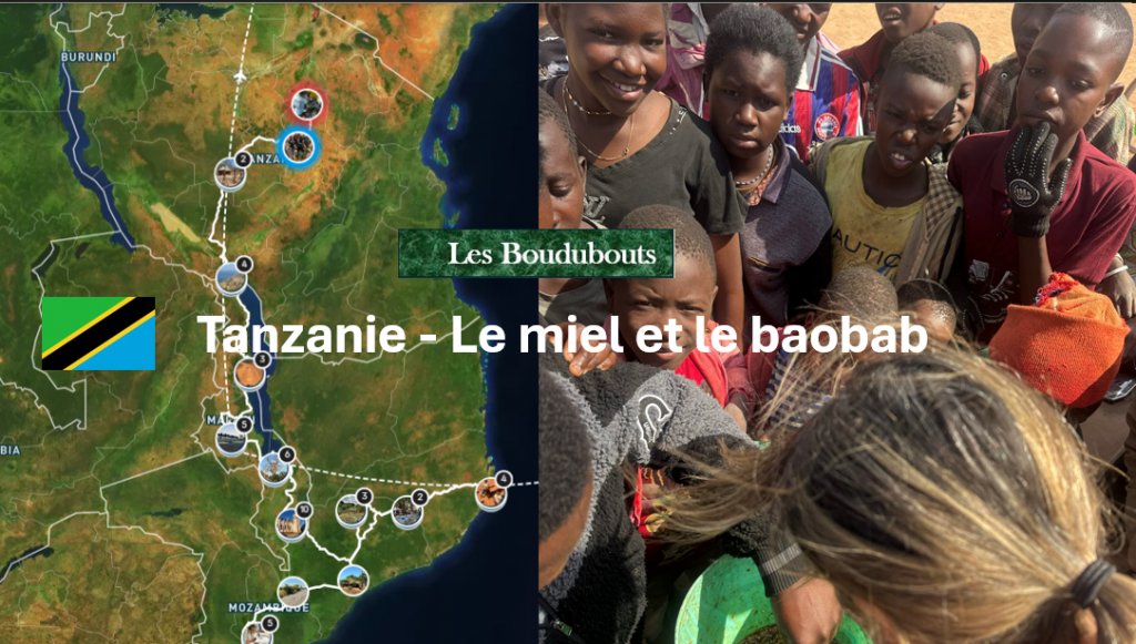 TvLocale des Acteurs Locaux en Tanzanie - Les Boudubouts découvre le miel et le baobab