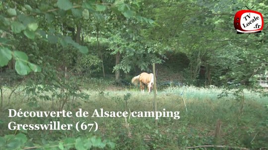 Alsace Camping : un havre de paix dans la vallée de la #Bruche à #Gresswiller