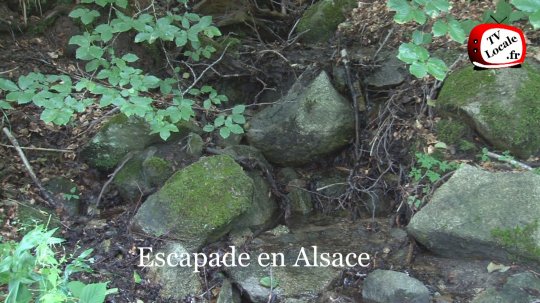 Escapade en Alsace en dehors des ''sentiers battus '' découvrez l'eau et les vignobles