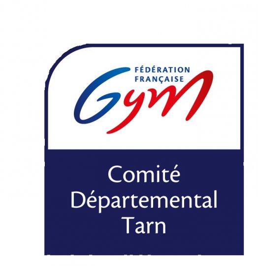 Gymnastique : le comité du Tarn a participé à la sélection Régionale des Intercodeps de Colomiers. 