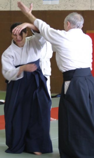 Aïkiryu et Arts du Geste fête ses 20 ans  la Fédération vous invite à venir découvrir la discipline