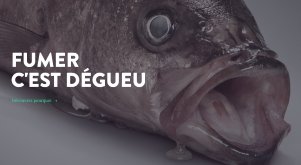 Lancement de la campagne québécoise «DÉGUEU»  