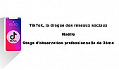 TikTok, la drogue des réseaux sociaux - Maëlle - Stage d'observation professionnelle de 3ème
