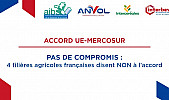 Acteurs Locaux France - Aucun Compromis pour les 4 Filières Agricoles Françaises qui disent NON à l'accord UE-Mercosur 