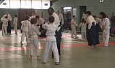 Aïkido : La fédération française d’aikido et de Budo (FFAB) a confié un stage national pour les jeunes et leurs enseignants à la ligue Occitanie en région Midi-Pyrénées, le 10 Marsà