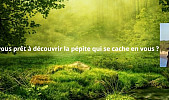 Etes vous prêt à découvrir la pépite qui se cache en vous ? Par Delphine LANOE - Révélatrice de Bonheur
