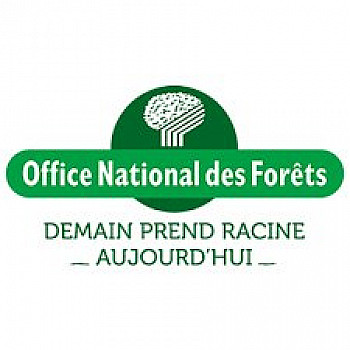 Journée internationale des forêts le 21 mars 2019 - @ONF_Officiel