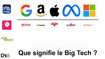 BIGTECH - Situation de Monopole Absolue 