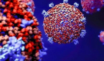 Coronavirus : une autre vision #santé #coronavirus #tvlocale.fr @smartrezo