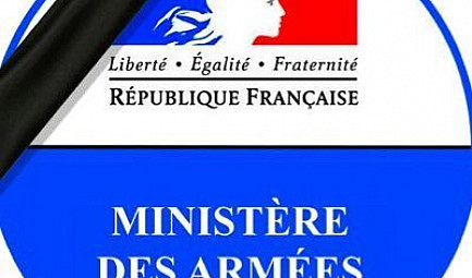 Communiqué de presse de Florence Parly, ministre des armées : Militaire de l'opération Barkhane mort po..