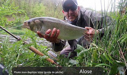 Le préfet de Tarn-et-Garonne communique: Nouvelle expérimentation de pêche silure dans le cadre de la pro..