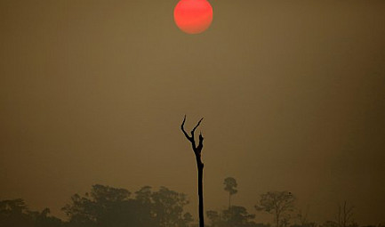 GlobalGeoNews / La prochaine pandémie viendra-t-elle de l’Amazonie ?
