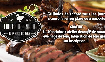 Montauban - Foire aux canards - A la ferme