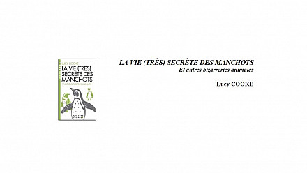 LA VIE (TRÈS) SECRÈTE DES MANCHOTS Et autres bizarreries animales Lucy COOKE