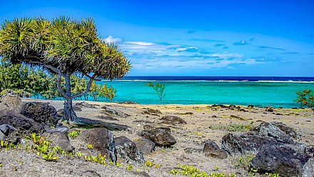 Rodrigues Tourism Survey : une enquête pour mieux comprendre le secteur touristique