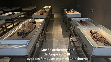 160ème Étape des Boudubouts au CHILI - visite du Musée Archéologique San Miguel de Azapa