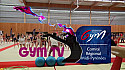 Gymnastique: le comité Midi-Pyrénées organisait le FESTI CLUBS LOISIR événement dédié à la Gym Pour Tous le 19 novembre .
