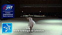 Gymnastique Rythmique : Lily de l'Etoile Gymnique de Colomiers au Gala du Comité Départemental 31 @FFGymnastique
