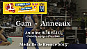 GAM Anneaux :Antoine BORELLO au Championnat National Séniors de Ponts de Cé  @ffgymnastique #TvLocale_fr #coupenat2015